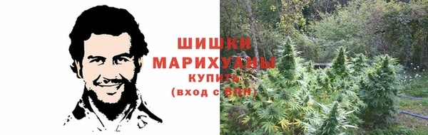 тгк Мегион