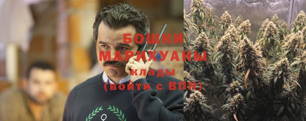 тгк Мегион