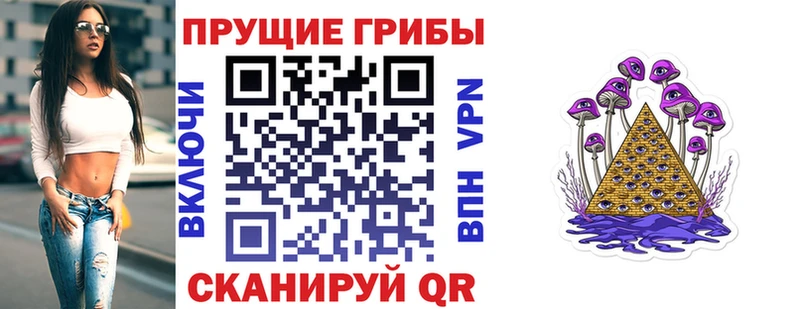 где купить   Брянск  Псилоцибиновые грибы Cubensis 