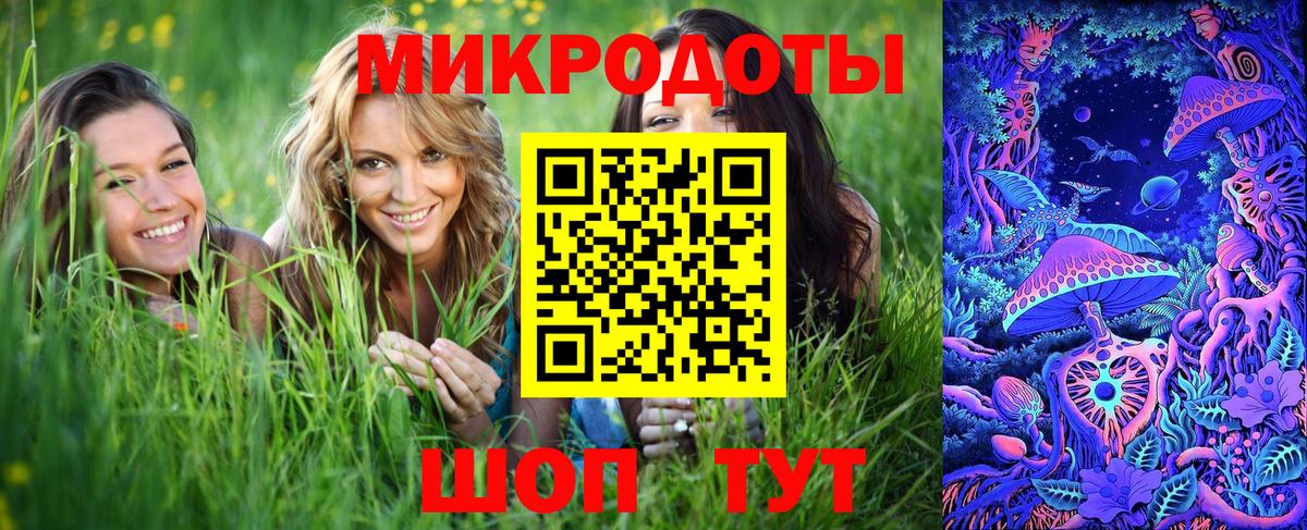 где найти   Галлюциногенные грибы Psilocybe  Брянск  Вход с VPN  Псилоцибиновые грибы Psilocybe 