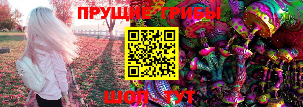 Галлюциногенные грибы прущие грибы  Галлюциногенные грибы Cubensis  Брянск 